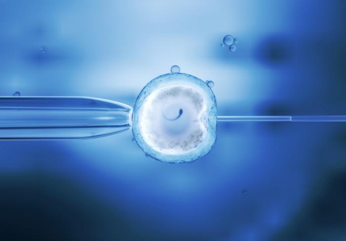 fertility doctor in jordan